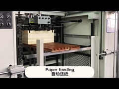 Máquina que lamina termal automática de la velocidad NFY-B1080